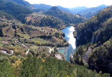 Godišnja dozvola za ribolov u NP Tara 6.000 dinara