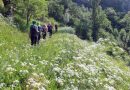 Planinarska akcija „Milenkova Tara“ u nedelju