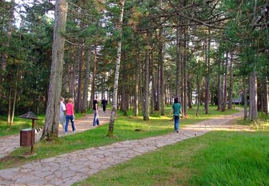 Zapadna Srbija: 20 godina turizma