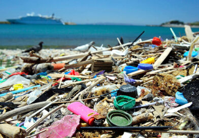 WWF: Poziv na zabranu upotrebe plastike