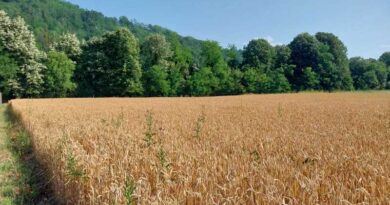 PSSS UE: Kako do sertifikata za pesticide?