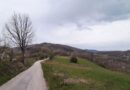 Planska isključenja struje