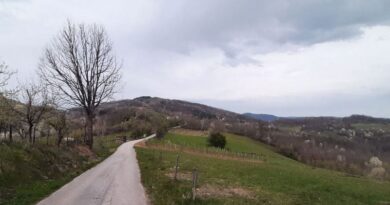 Planska isključenja struje