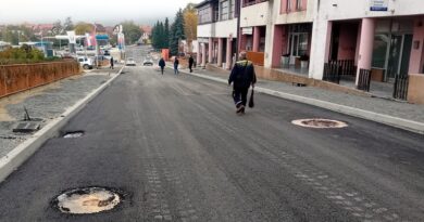 Poznato šta će biti završeno u Svetosavskoj do zime